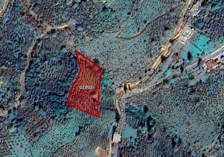 ARTVİN BORÇKA'DA 2.094 M2 SATILIK FINDIK BAHÇESİ